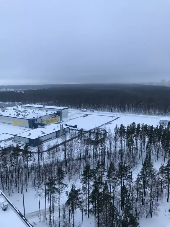 квартира г Санкт-Петербург метро Озерки пр-кт Орлово-Денисовский 19 к 2, Ленинградская область фото 31