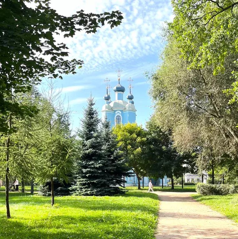 квартира г Санкт-Петербург метро Выборгская пр-кт Большой Сампсониевский 31 Ленинградская область фото 15