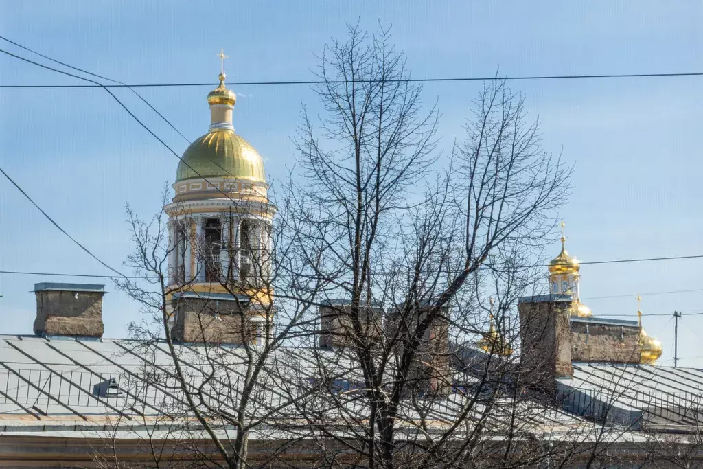 квартира г Санкт-Петербург метро Достоевская ул Рубинштейна 22 Ленинградская область фото 22