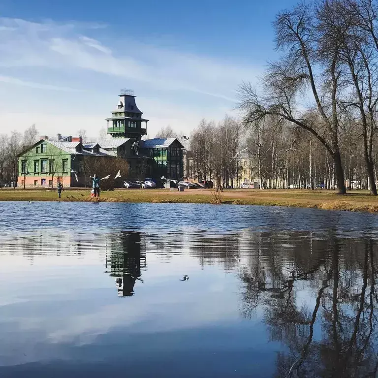 квартира г Санкт-Петербург метро Проспект Просвещения ул Руднева 9 к 2, Ленинградская область фото 17