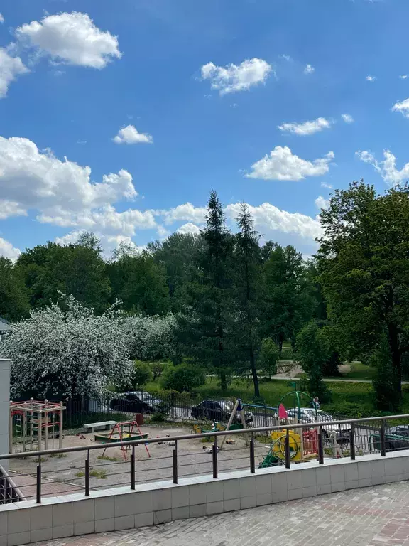 квартира г Санкт-Петербург метро Чкаловская пр-кт Петровский 1 Ленинградская область фото 11