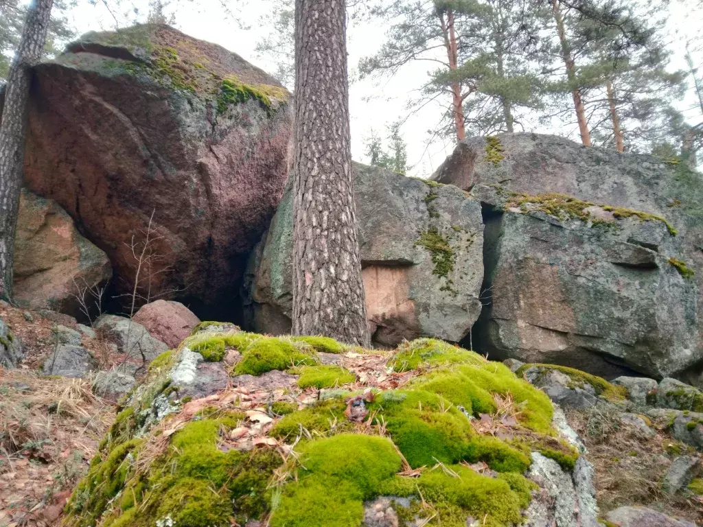 дом р-н Выборгский п Пальцево СНТ Локомотив-2 территория, 2, Выборг фото 16