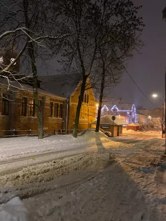 квартира р-н Выборгский г Выборг ул Северный Вал 19 фото 12