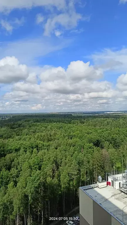 квартира г Санкт-Петербург метро Пионерская ул Ивинская 19 к 2, Ленинградская область фото 20