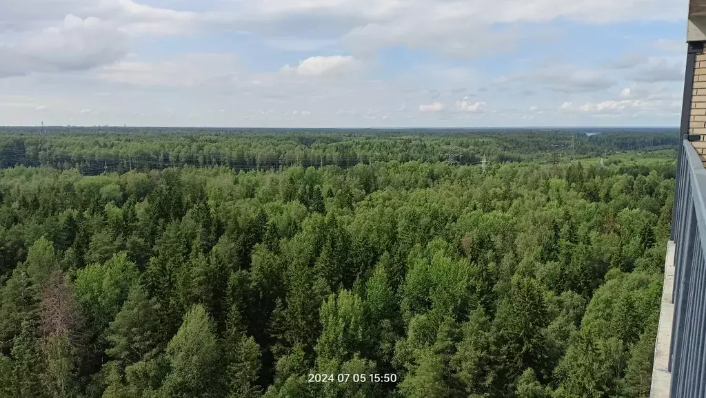 квартира г Санкт-Петербург метро Пионерская ул Ивинская 19 к 2, Ленинградская область фото 23