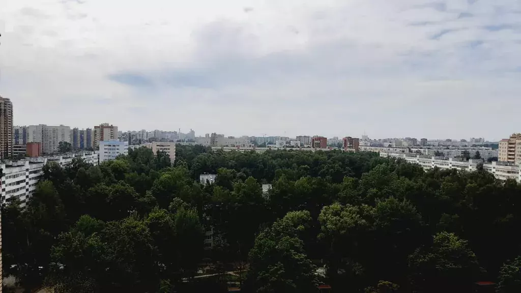 квартира г Санкт-Петербург метро Гражданский Проспект пр-кт Просвещения 75 Ленинградская область фото 16