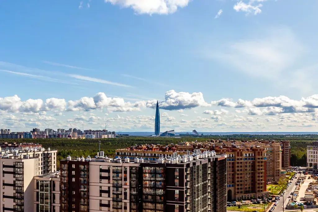 квартира г Санкт-Петербург метро Озерки ул Плесецкая 10 Ленинградская область фото 23