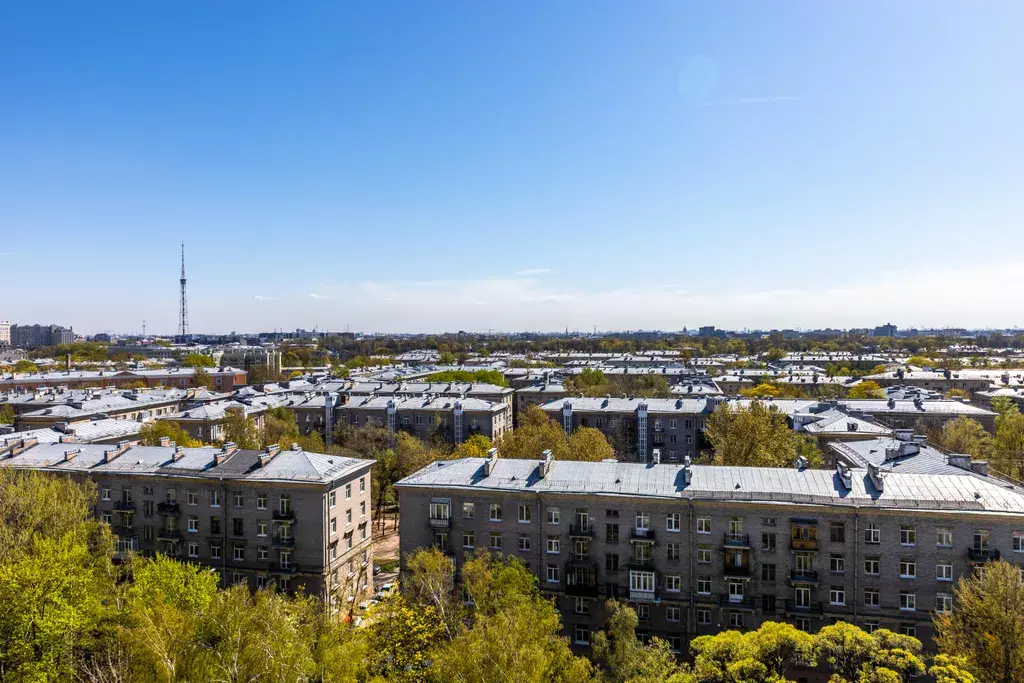 квартира г Санкт-Петербург ул Матроса Железняка 2 Ленинградская область фото 17