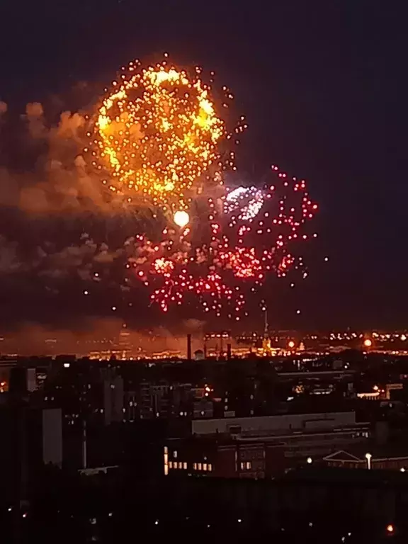 квартира г Санкт-Петербург метро Лесная ул Новолитовская 4 Ленинградская область фото 13