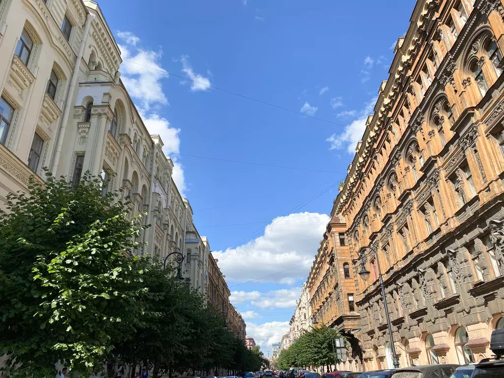 комната г Санкт-Петербург метро Площадь Восстания ул Пушкинская 18 Ленинградская область фото 12