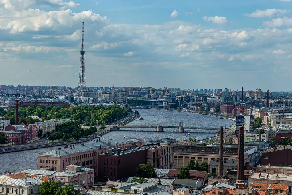 квартира г Санкт-Петербург метро Выборгская пр-кт Большой Сампсониевский 4/6 Ленинградская область фото 33