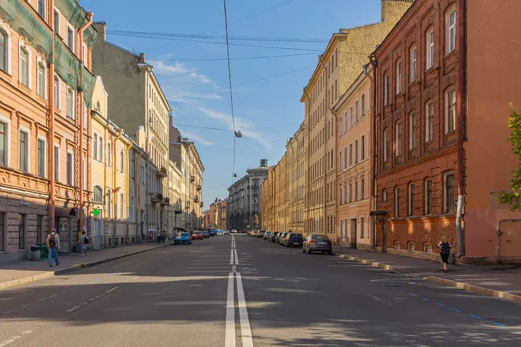 квартира г Санкт-Петербург метро Садовая пр-кт Английский 13 Ленинградская область фото 33