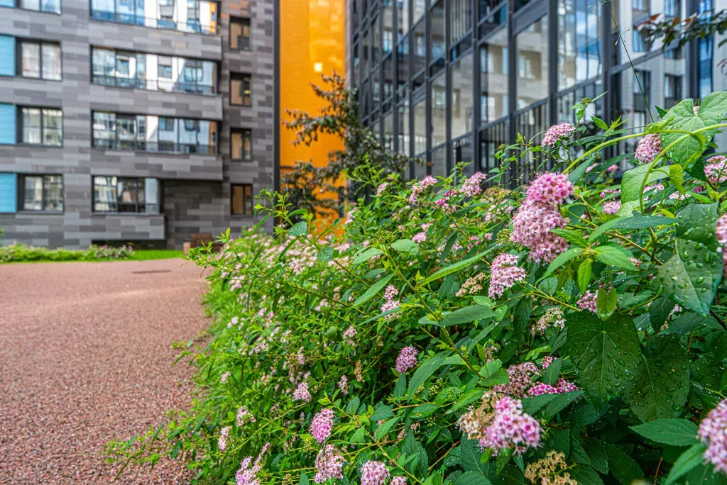 квартира г Санкт-Петербург дор Торфяная 15 Старая Деревня, к 3, Ленинградская область фото 31