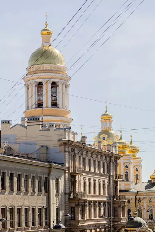 квартира г Санкт-Петербург метро Владимирская пр-кт Владимирский 13/9 Ленинградская область фото 8