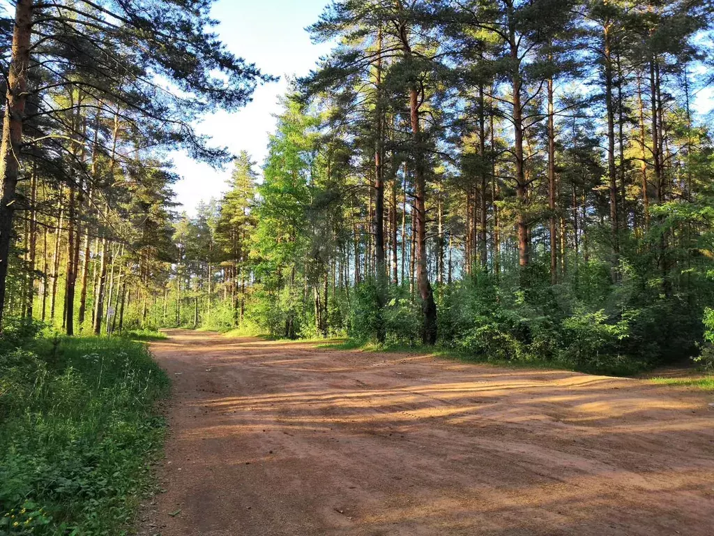 квартира р-н Всеволожский п Янино-1 ул Ясная 4 фото 31