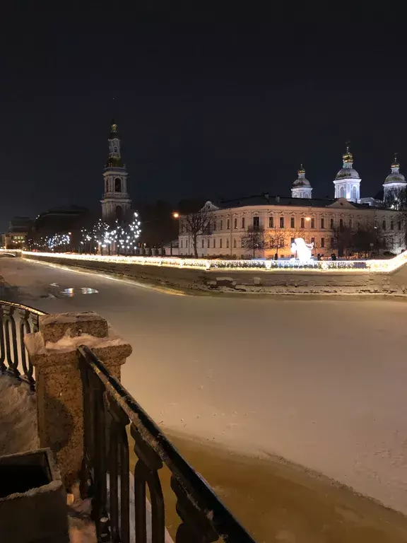 квартира г Санкт-Петербург метро Садовая пр-кт Лермонтовский 12 Ленинградская область фото 19