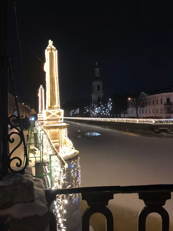 квартира г Санкт-Петербург метро Садовая пр-кт Лермонтовский 12 Ленинградская область фото 20