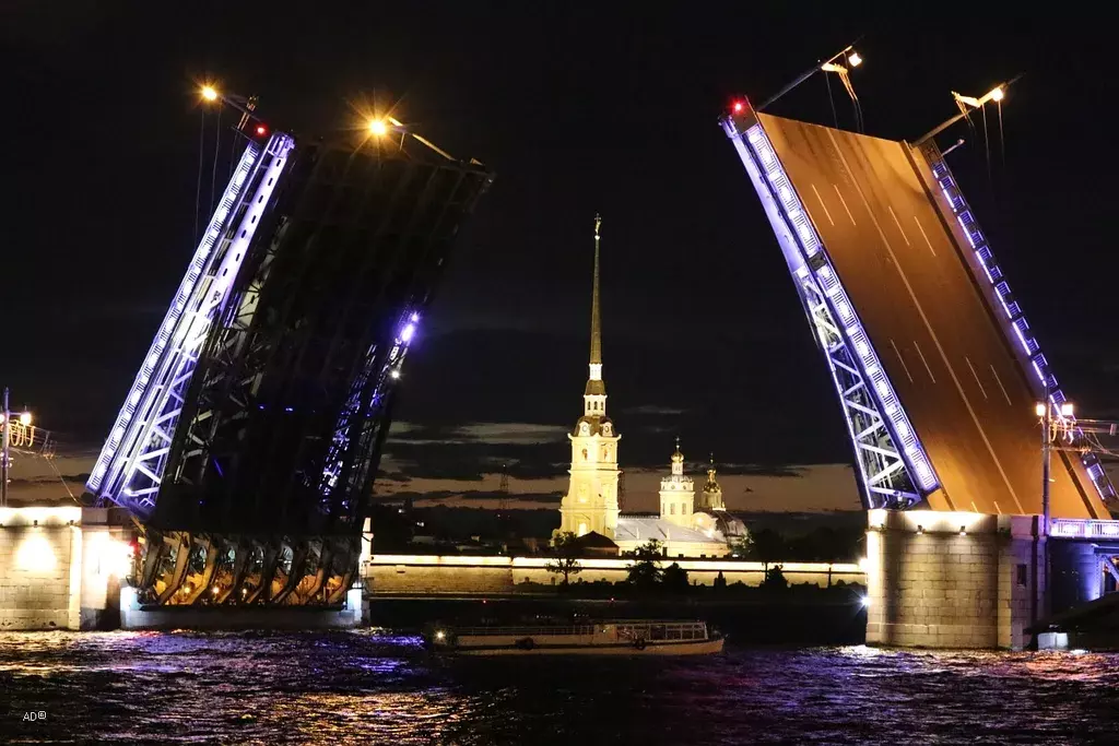 комната г Санкт-Петербург метро Невский Проспект ул Большая Конюшенная 11б Ленинградская область фото 37