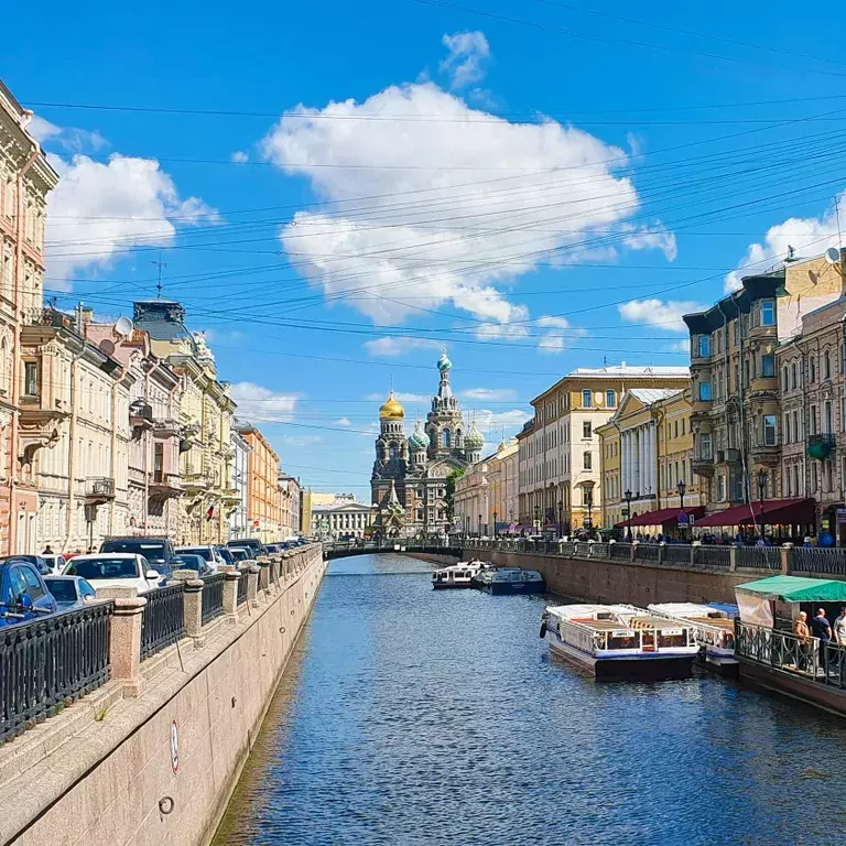 комната г Санкт-Петербург метро Невский Проспект ул Большая Конюшенная 11б Ленинградская область фото 38