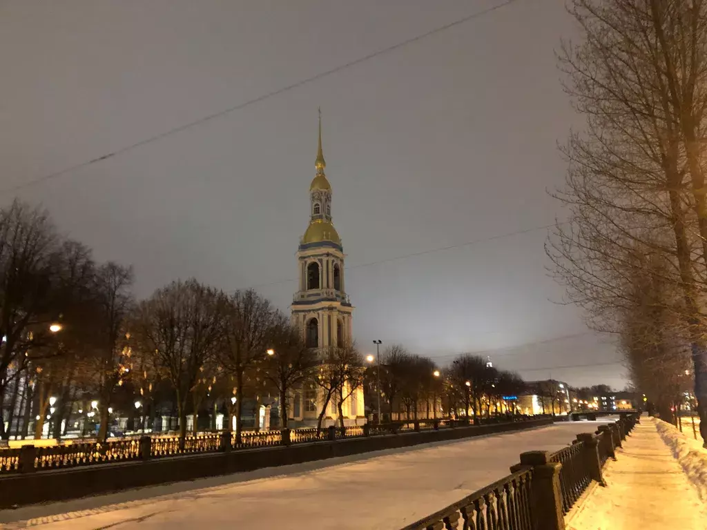 квартира г Санкт-Петербург метро Балтийская ул Садовая 103 Ленинградская область фото 15