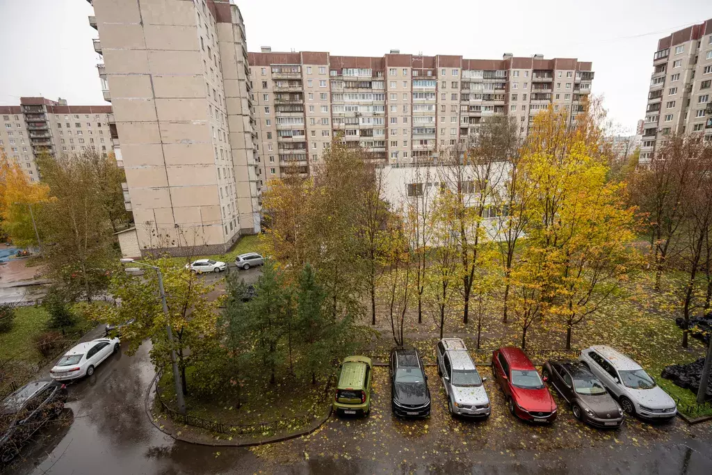 квартира г Санкт-Петербург метро Комендантский Проспект пр-кт Комендантский 8 к 2, Ленинградская область фото 24