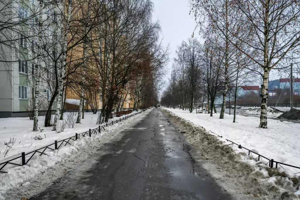 квартира г Санкт-Петербург пр-кт Приморский 147 Беговая, Ленинградская область фото 26