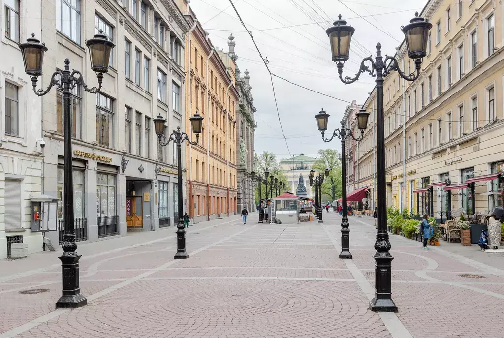 квартира г Санкт-Петербург метро Гостиный Двор ул Малая Садовая 3/54 Ленинградская область фото 19