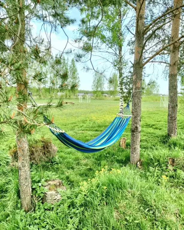 дом р-н Всеволожский д Ёксолово КП Усадьба Луговая, Луговой переулок, 3 фото 27