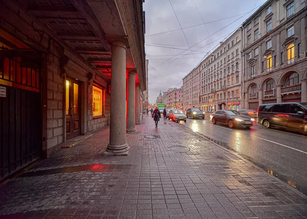 квартира г Санкт-Петербург метро Горьковская ул Куйбышева 10 Ленинградская область фото 8