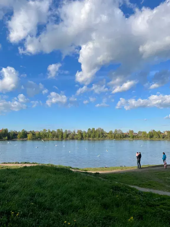 квартира г Санкт-Петербург метро Рыбацкое пр-кт Рыбацкий 18 к 2, Ленинградская область фото 7