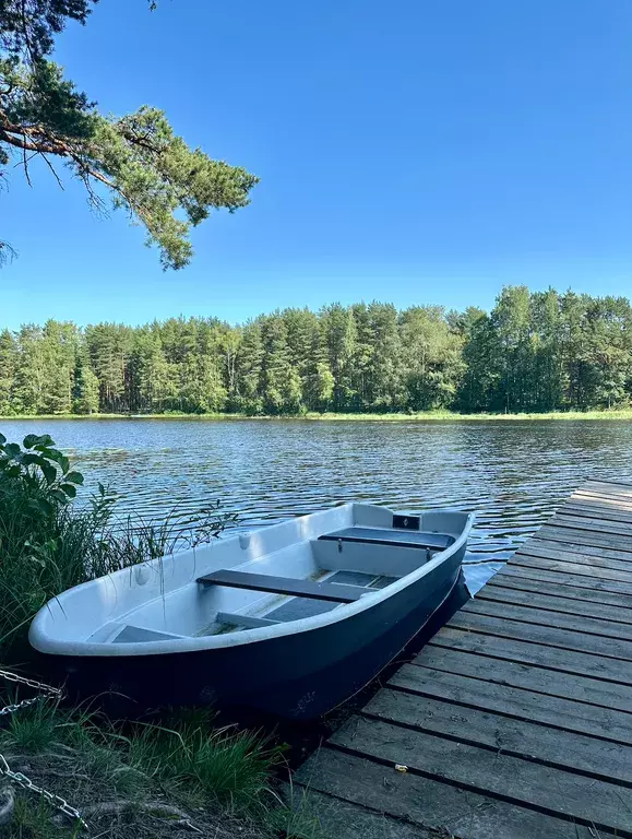 дом р-н Всеволожский д Морье - улица, 45 фото 25