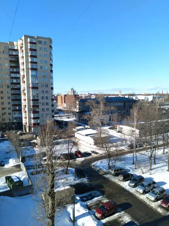 квартира г Санкт-Петербург метро Площадь Мужества пр-кт Гражданский 6 Ленинградская область фото 7