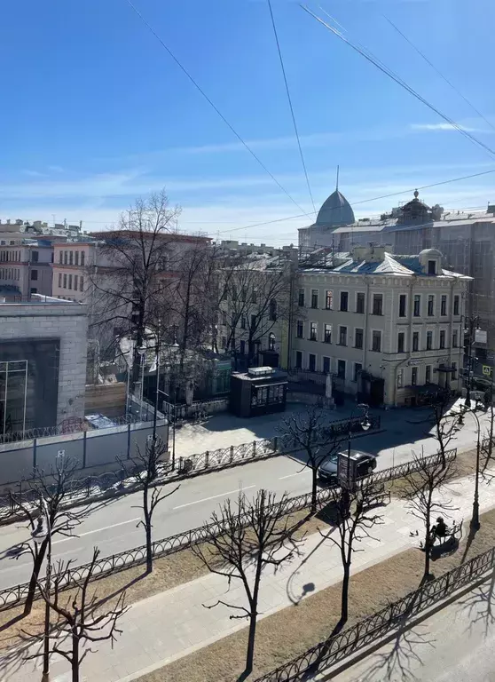 квартира г Санкт-Петербург метро Чернышевская пр-кт Чернышевского 17 Ленинградская область фото 10