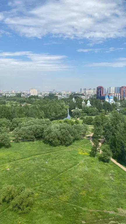 квартира Санкт-Петербург, Звёздная, Пулковское шоссе, 14Г фото 23