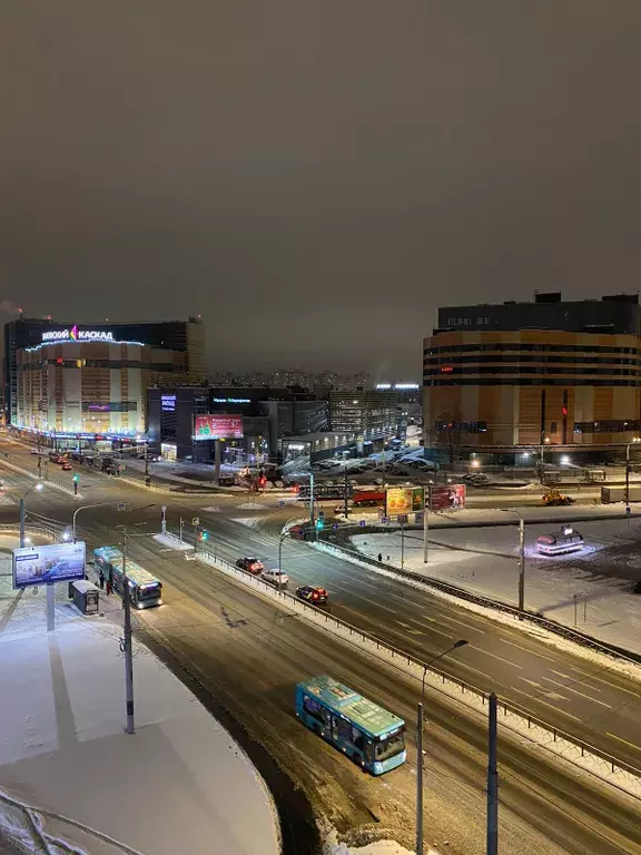 квартира г Санкт-Петербург метро Ладожская пр-кт Заневский 42 Ленинградская область фото 27