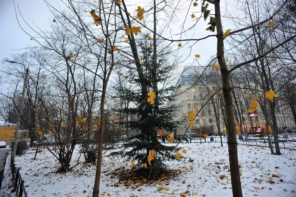 квартира г Санкт-Петербург метро Площадь Ленина пр-кт Лесной 4 Ленинградская область фото 7