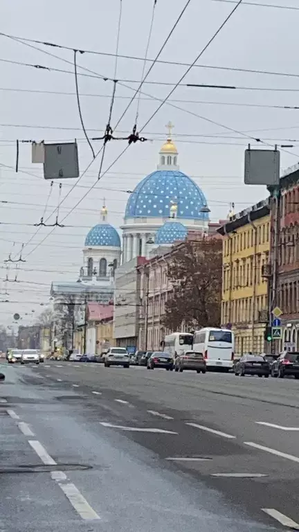 квартира г Санкт-Петербург метро Технологический Институт 1 пр-кт Измайловский 1 Ленинградская область фото 33