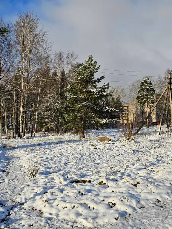 комната р-н Приозерский п Мичуринское ул Озерная 5 фото 15