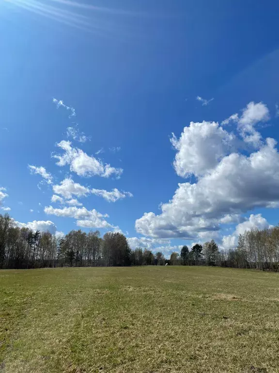 дом р-н Всеволожский д Куйвози КП Киварин хутор территория, 3 фото 5