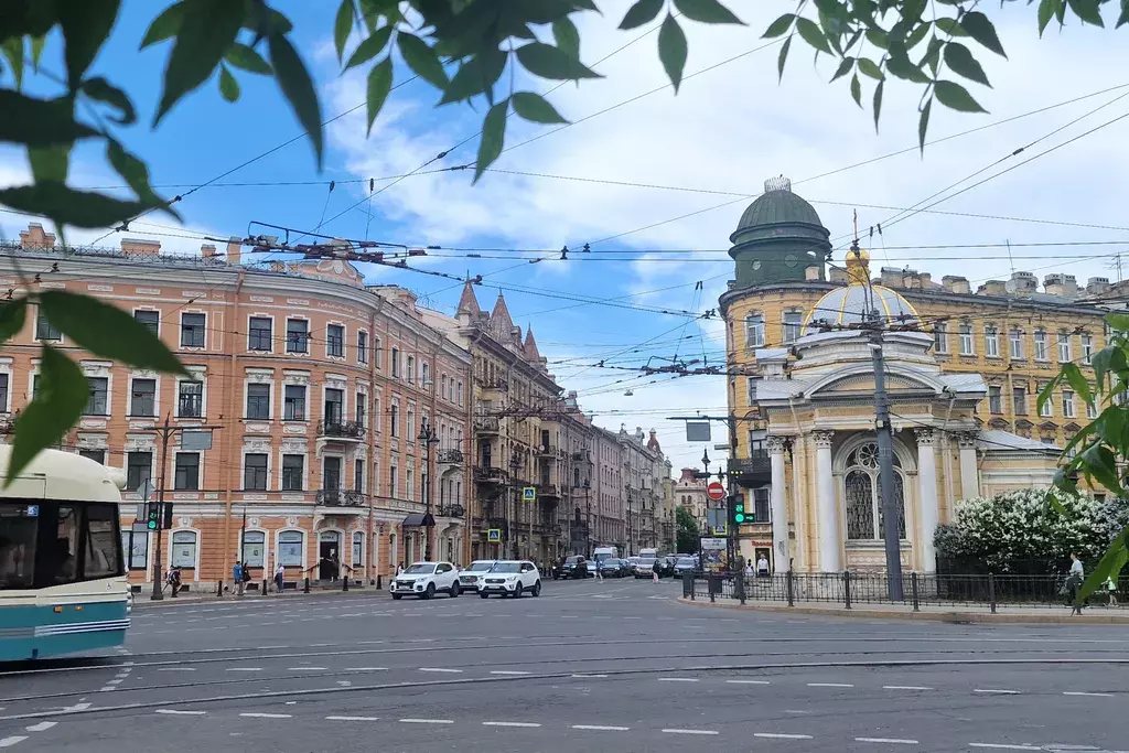 квартира г Санкт-Петербург метро Спортивная Большой Петроградской стороны проспект, 10, Ленинградская область фото 8