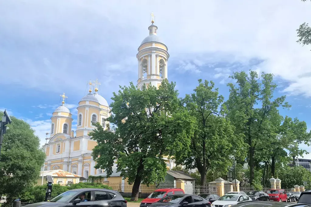 квартира г Санкт-Петербург метро Спортивная Большой Петроградской стороны проспект, 10, Ленинградская область фото 17