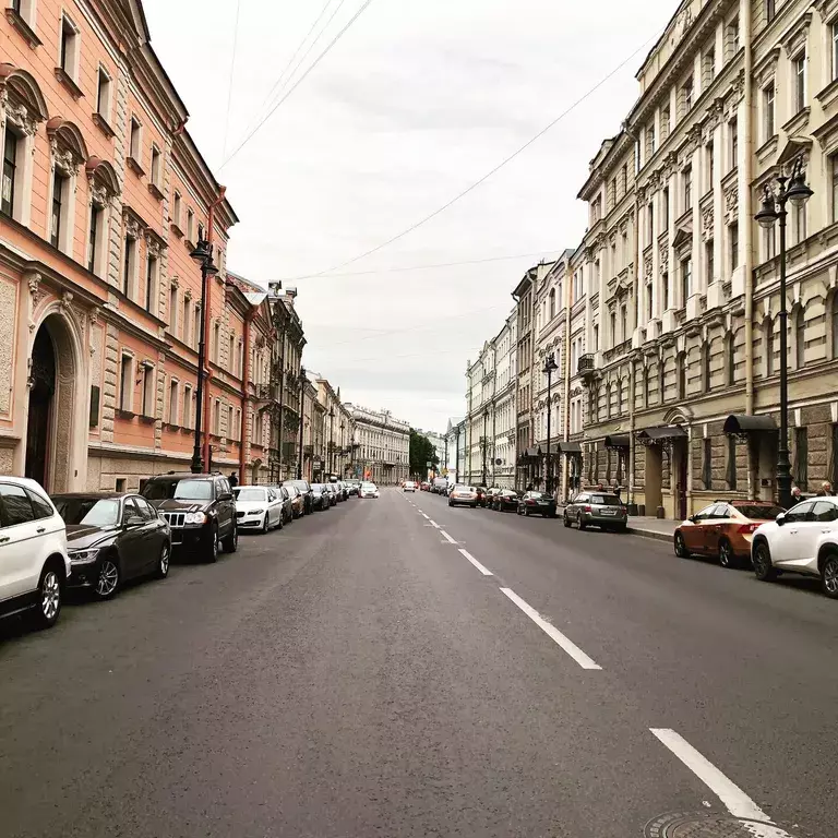 квартира г Санкт-Петербург метро Невский Проспект ул Миллионная 19 Ленинградская область фото 5