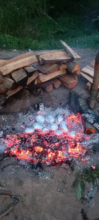 дом р-н Всеволожский п им Свердлова СНТ Пороги территория, б/н фото 17