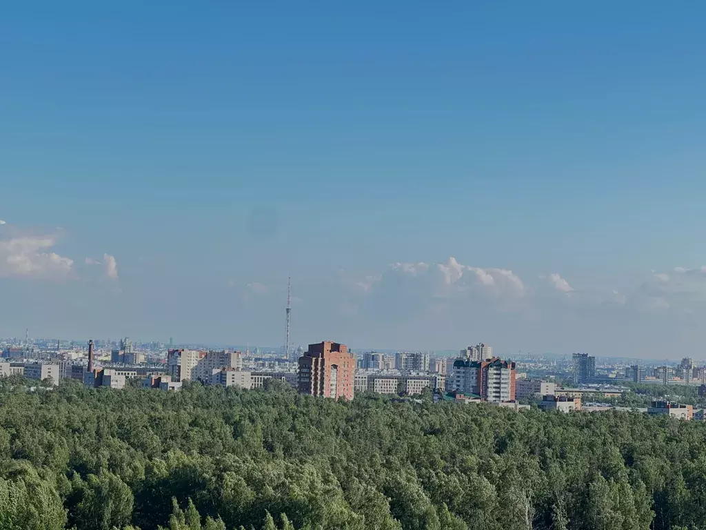 квартира г Санкт-Петербург метро Озерки ул Лиственная 18 к 1, Ленинградская область фото 27