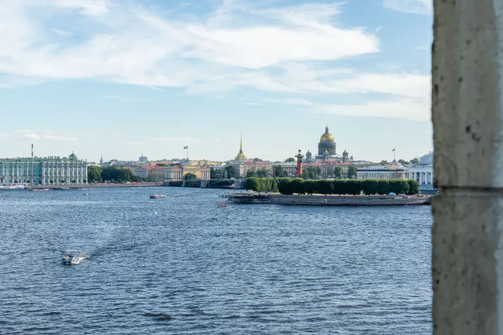 квартира г Санкт-Петербург метро Спортивная пр-кт Добролюбова 2 Ленинградская область фото 23