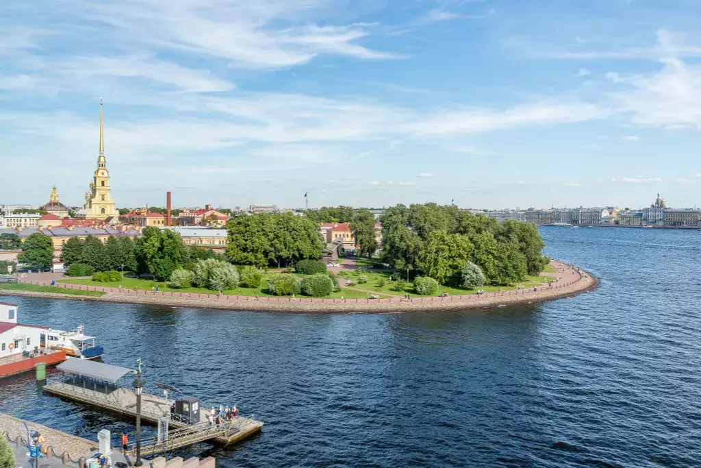 квартира г Санкт-Петербург метро Спортивная пр-кт Добролюбова 2 Ленинградская область фото 33