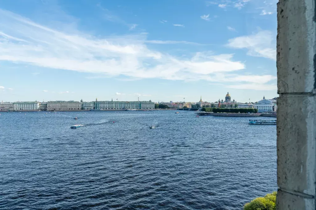 квартира г Санкт-Петербург метро Спортивная пр-кт Добролюбова 2 Ленинградская область фото 34