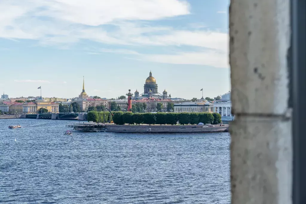 квартира г Санкт-Петербург метро Спортивная пр-кт Добролюбова 2 Ленинградская область фото 41