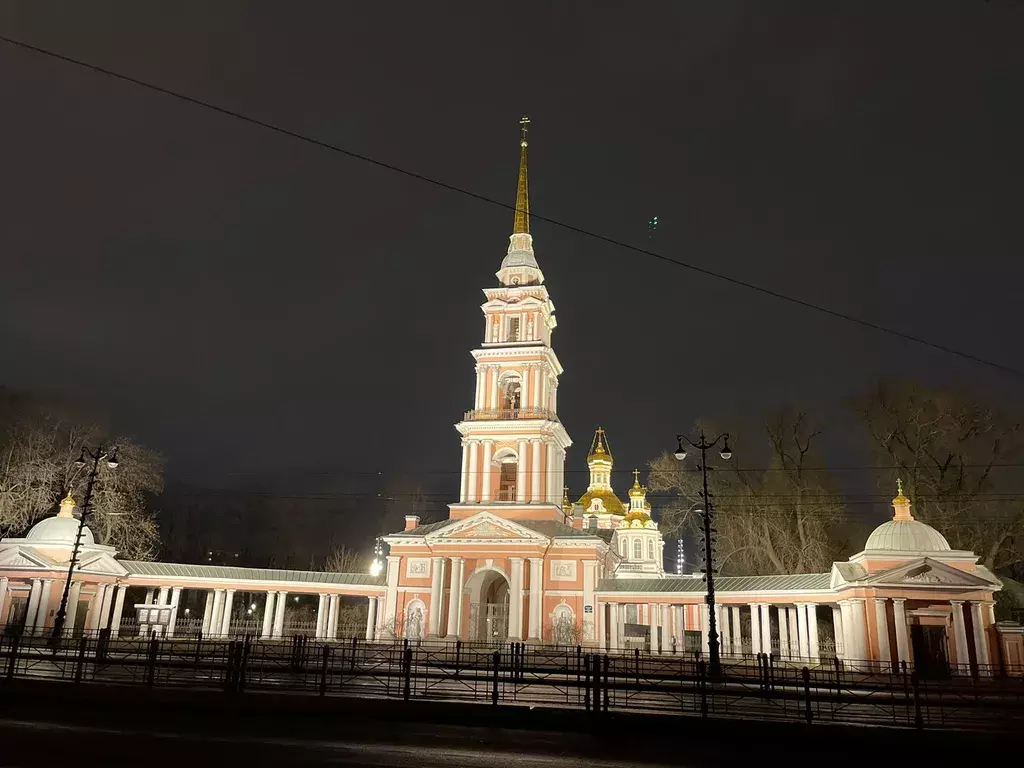 квартира г Санкт-Петербург метро Обводный Канал 1 пр-кт Лиговский 141б Ленинградская область фото 20