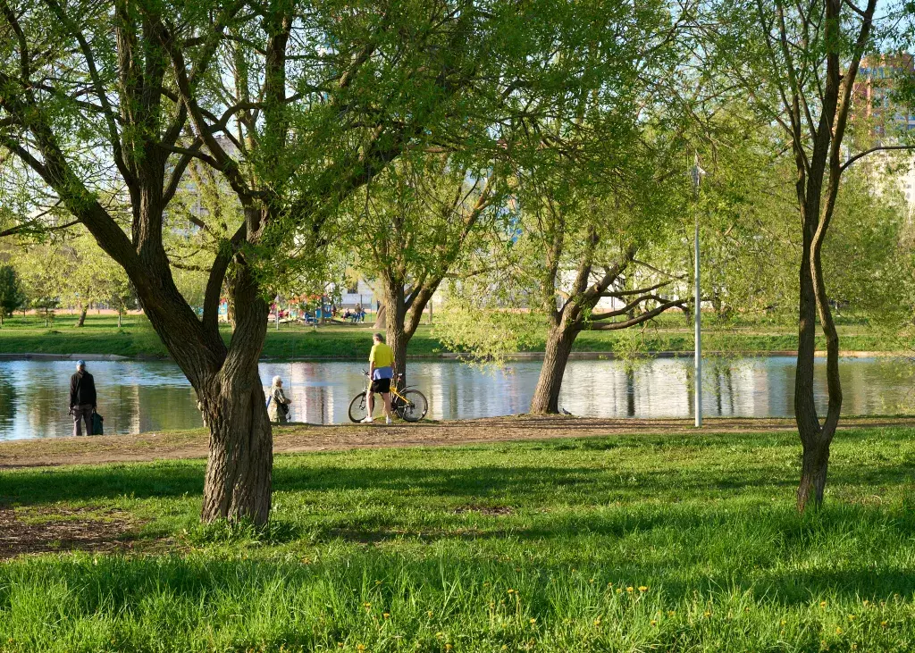 квартира г Санкт-Петербург ш Московское 3 Звёздная, к 5, Ленинградская область фото 40